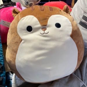 Squirrel Squishmallow